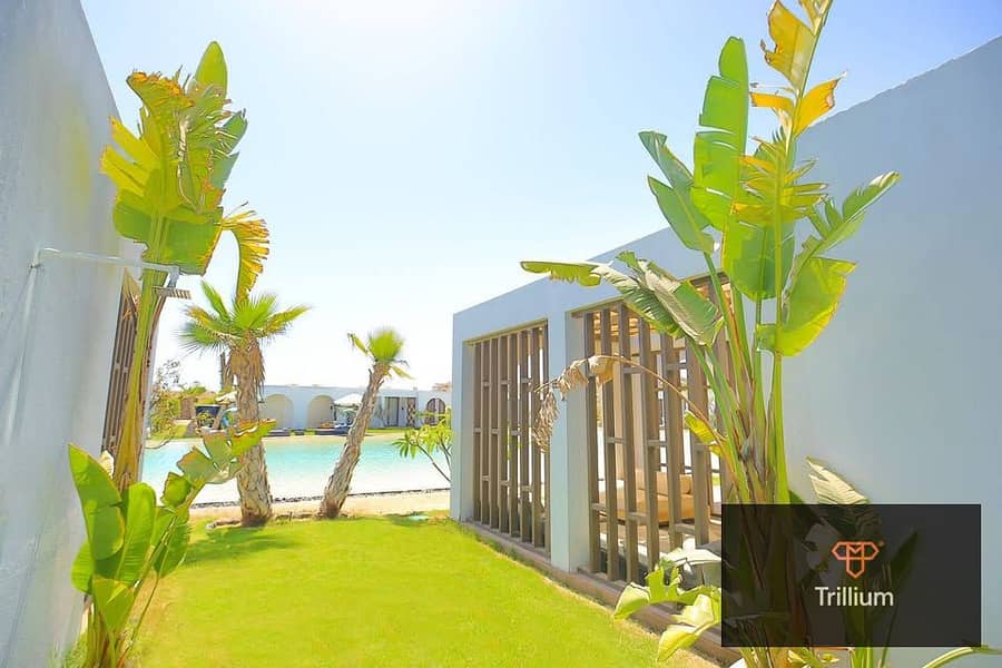 5 510960241_1242918933996885_8554129566780940080_n. jpg