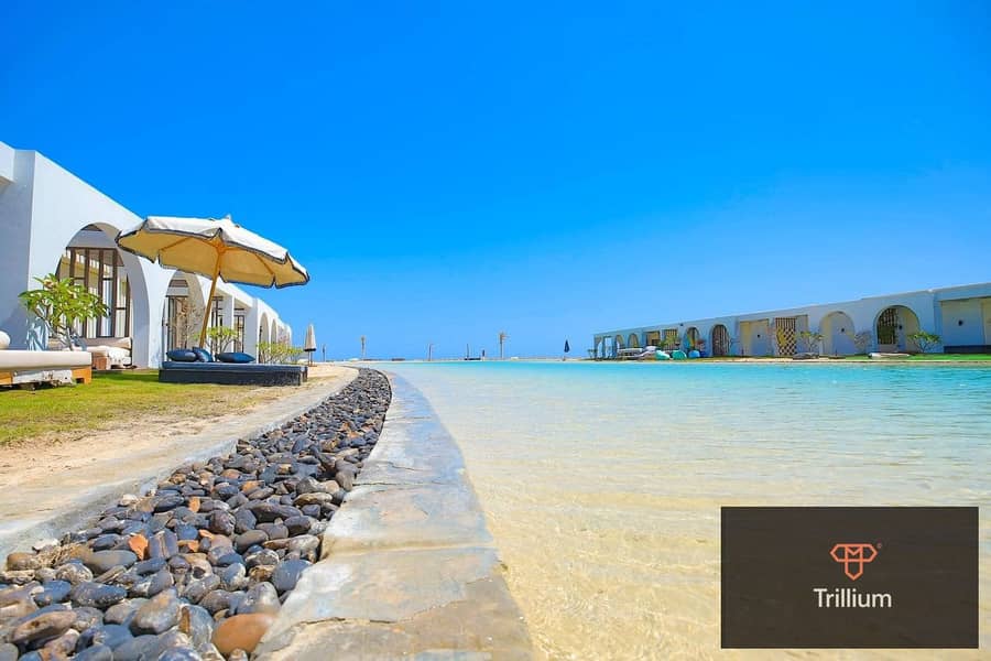 8 473190009_122188952780247048_5976103124263962341_n. jpg