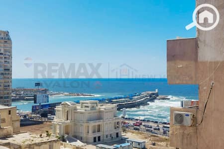 3 Bedroom Apartment for Sale in Zezenia, Alexandria - 1. jpg