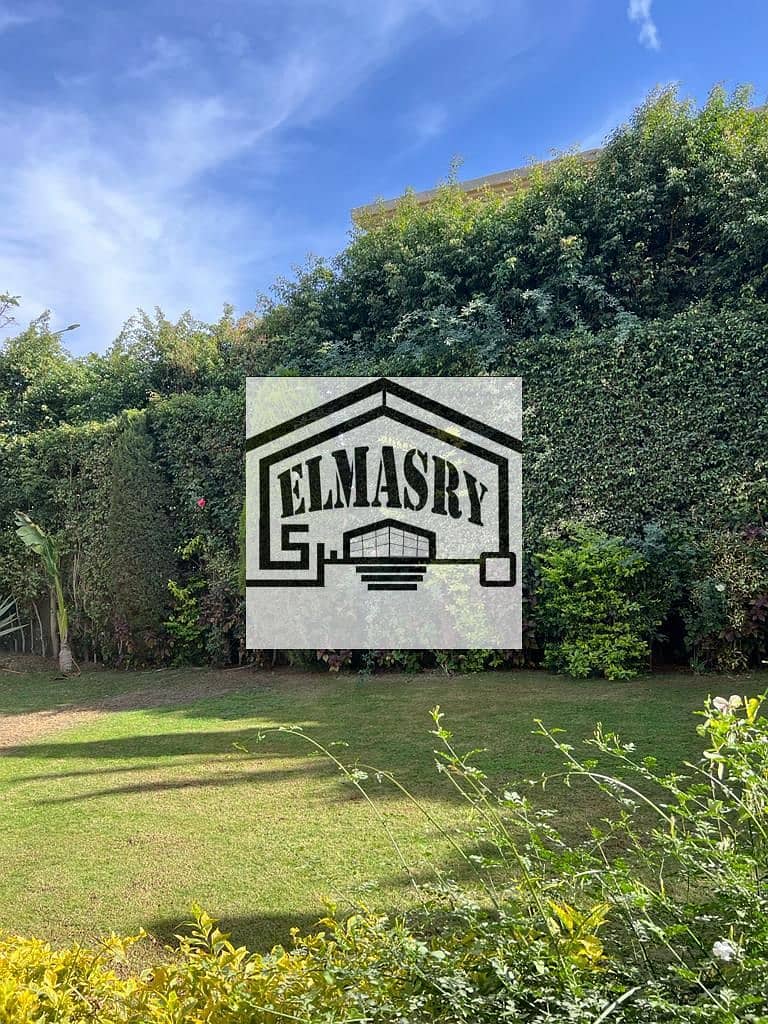 11 19b51126-7287-4ded-b9fc-11bcdd7f3a51. jpg