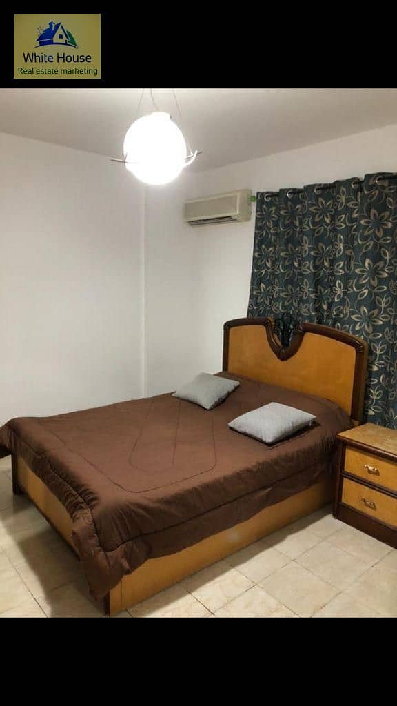 3 WhatsApp Image 2026-01-05 at 5.38. 32 PM (1). jpeg