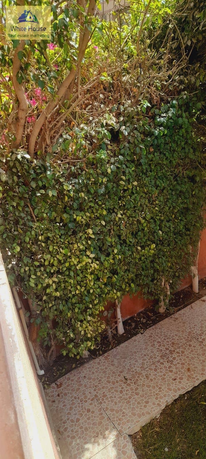 3 WhatsApp Image 2026-01-05 at 5.18. 46 PM (1). jpeg