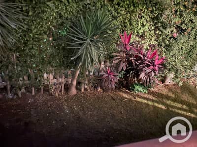 2 Bedroom Apartment for Rent in New Cairo, Cairo - c2d0673e-3733-40ef-b6b1-0065c4adce6e. jpeg