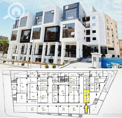 Restaurant & Cafe for Sale in Maadi, Cairo - WhatsApp Image 2026-01-06 at 1.28. 12 PM. jpeg