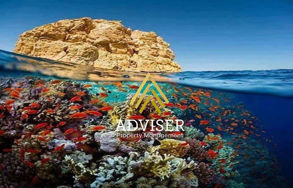 13 what-is-in-a-view. jpg