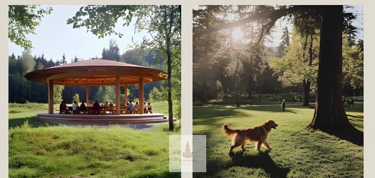 5 WhatsApp Image 2026-01-06 at 12.16. 46 PM (1). jpeg