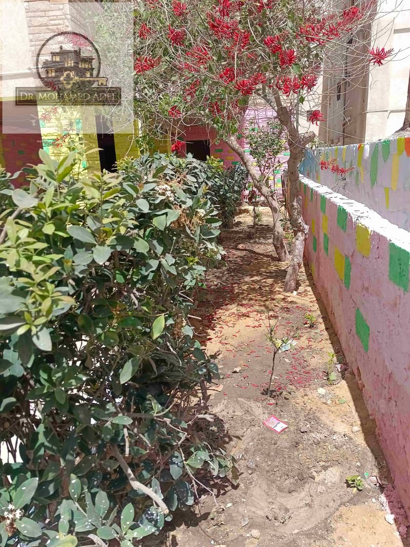 15 IMG_٢٠٢٤٠٥٠٩_١١١٩٠٧. jpg