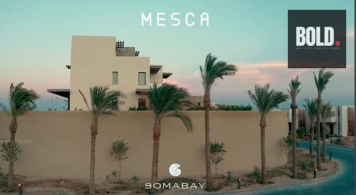 4 Screenshot 2025-10-02 151550. png