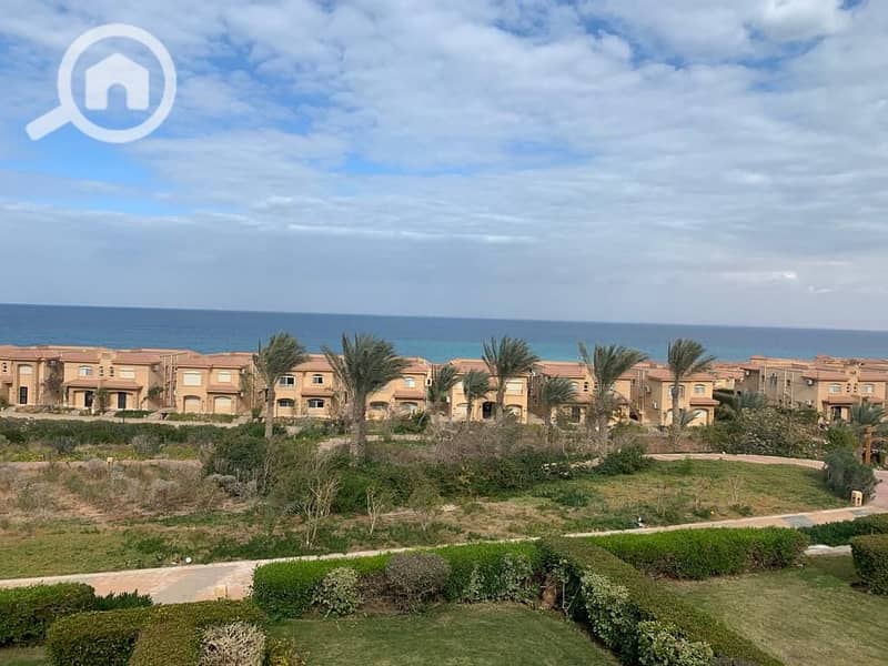 2 WhatsApp Image 2026-01-06 at 01.39. 36 (2). jpeg