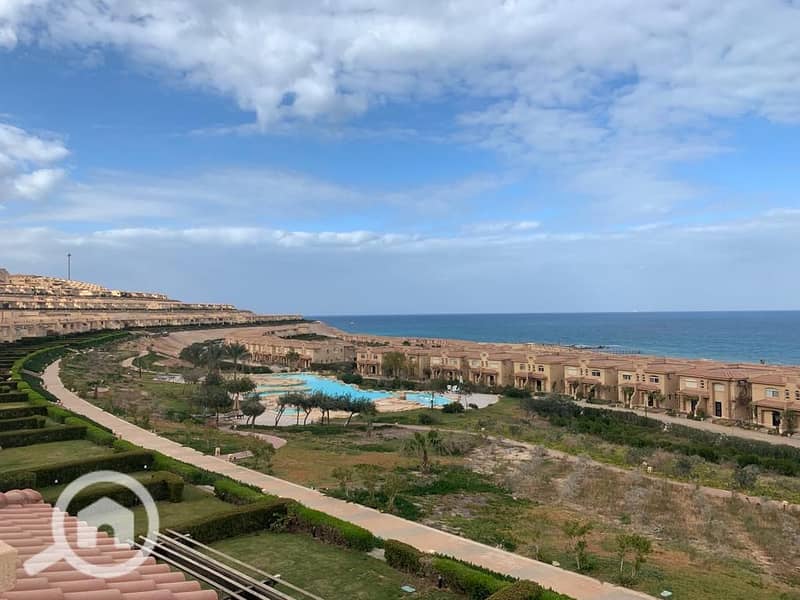 3 WhatsApp Image 2026-01-06 at 01.39. 36. jpeg