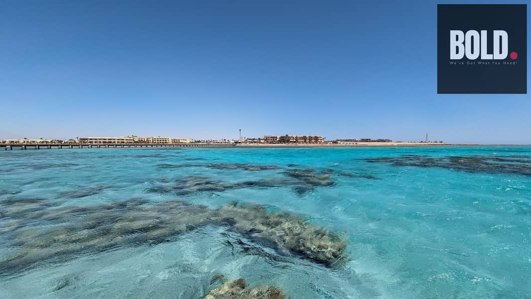 18 PXL_20230616_074741039-scaled. jpg