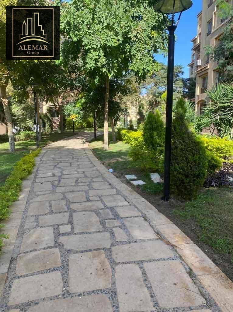 19 493d9e17-9d98-4550-96f6-6c0a77c34346. jpg