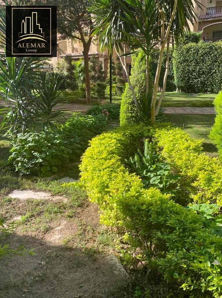 20 1ae6a7cc-d43f-477f-984d-1c130965a20c. jpg