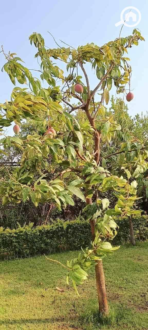 19 98104698-1e18-42ae-9486-7b9106ad70a8. jpg