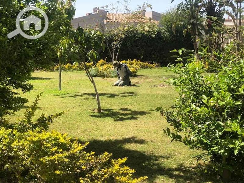 20 dd66d52a-a94d-4782-b554-e31bafbf80e0. jpg