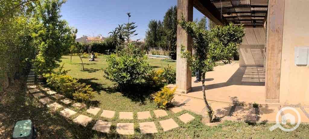 21 ce888253-daec-4d44-9dfd-a58b9e49d505. jpg