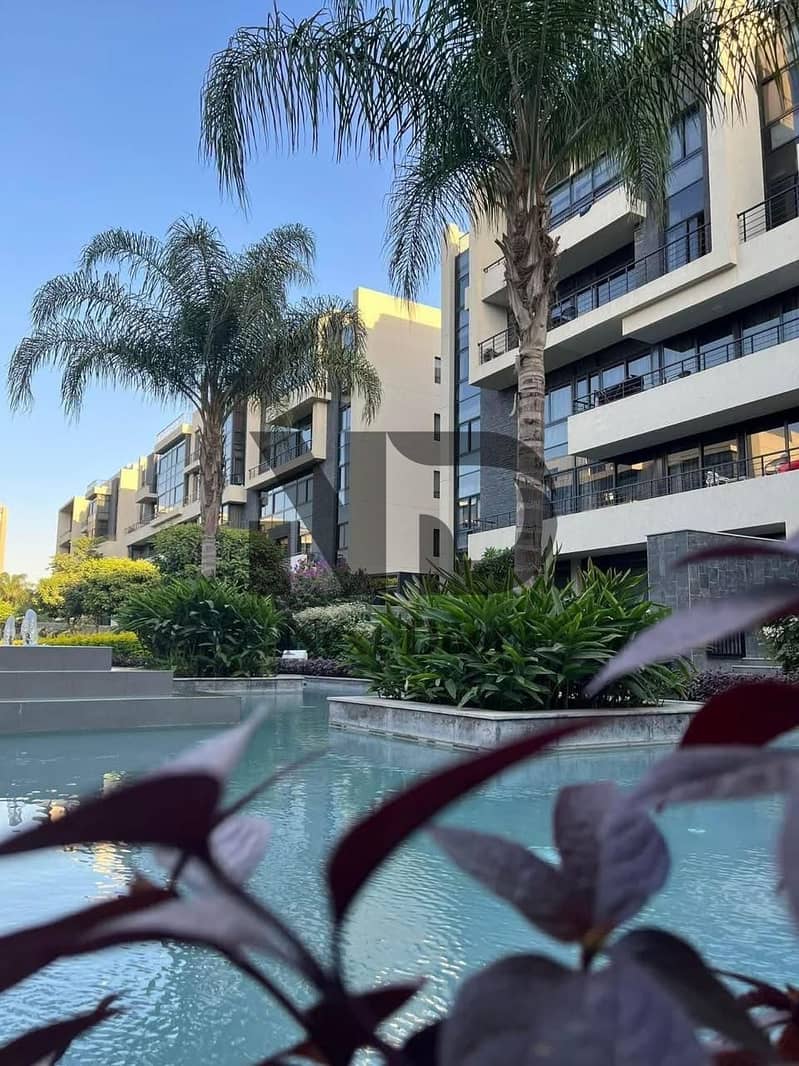 9 610831922_25545029055124969_3359919859255917809_n. jpg