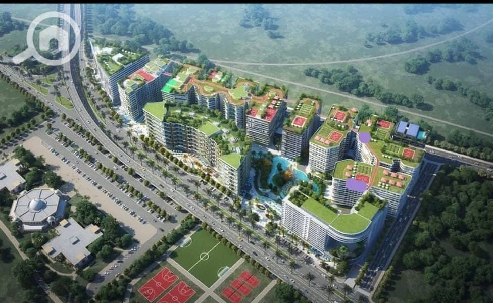 4 IMG-20250804-WA0039. jpg