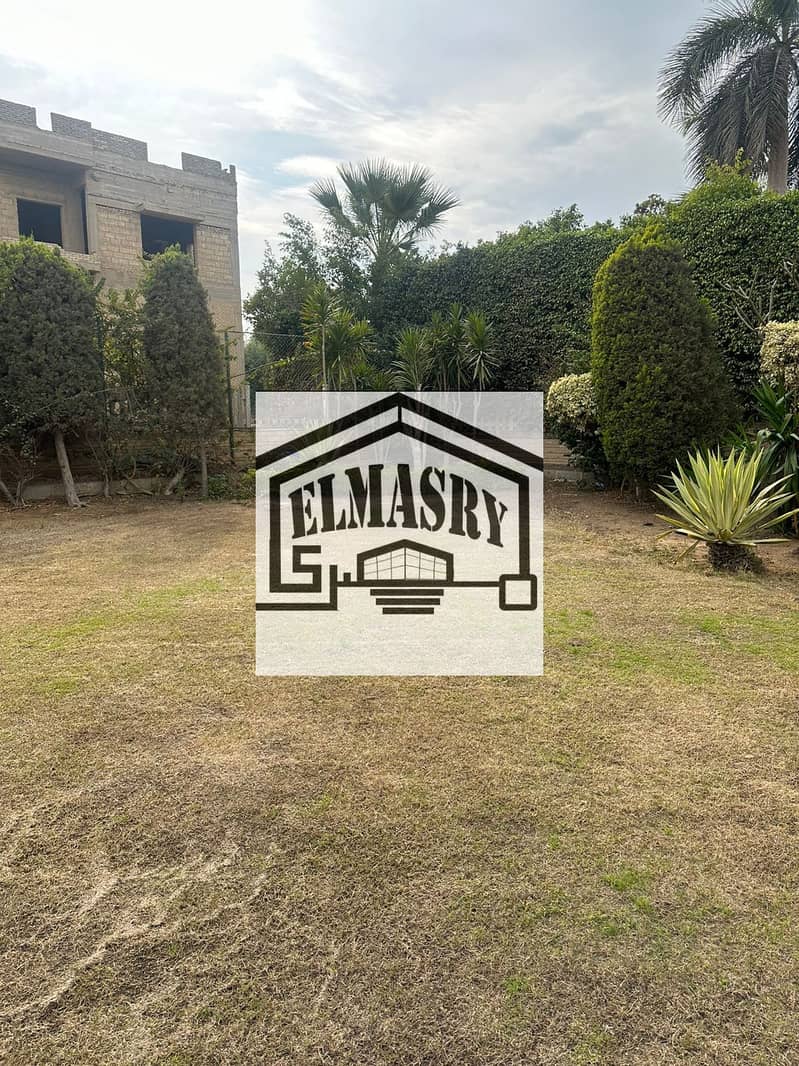 4 42a9e8f2-5038-4c0e-b3d6-25661cea67d3. jpg