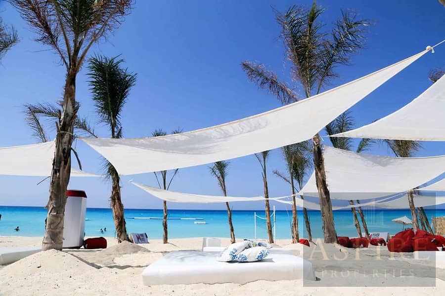 5 11825676_844692202252106_414539031023566729_n. jpg