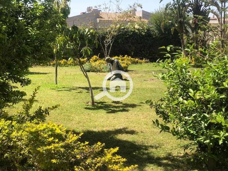 2 dd66d52a-a94d-4782-b554-e31bafbf80e0. jpg