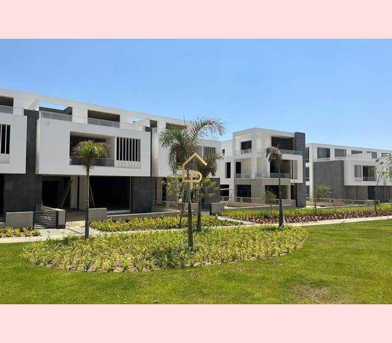 6 5995897-d4ca1o. jpg