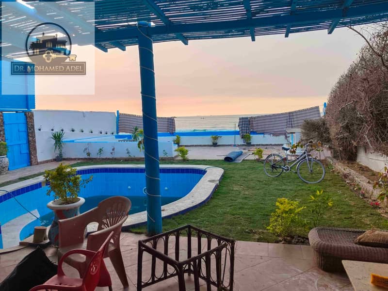 13 IMG_20241205_163341. jpg