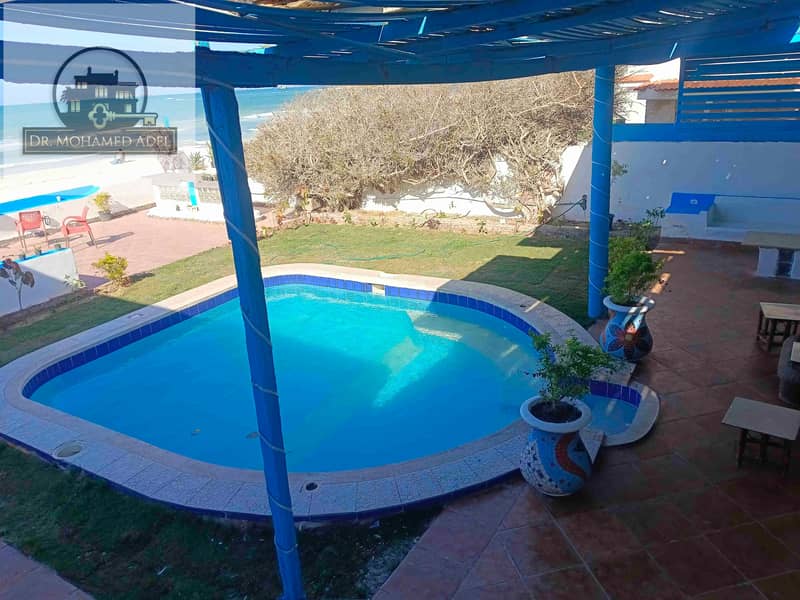 20 IMG_20241221_122321. jpg