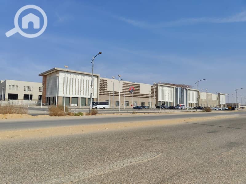 6 489945503_122150998238501506_1020151246954327317_n. jpg