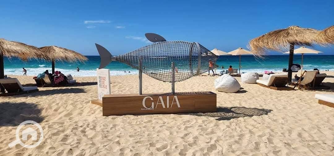 3 611614876_886885327630638_4769821298110486854_n. jpg