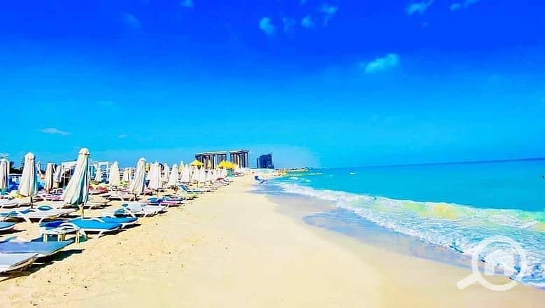 4 10784555221719079773. jpg