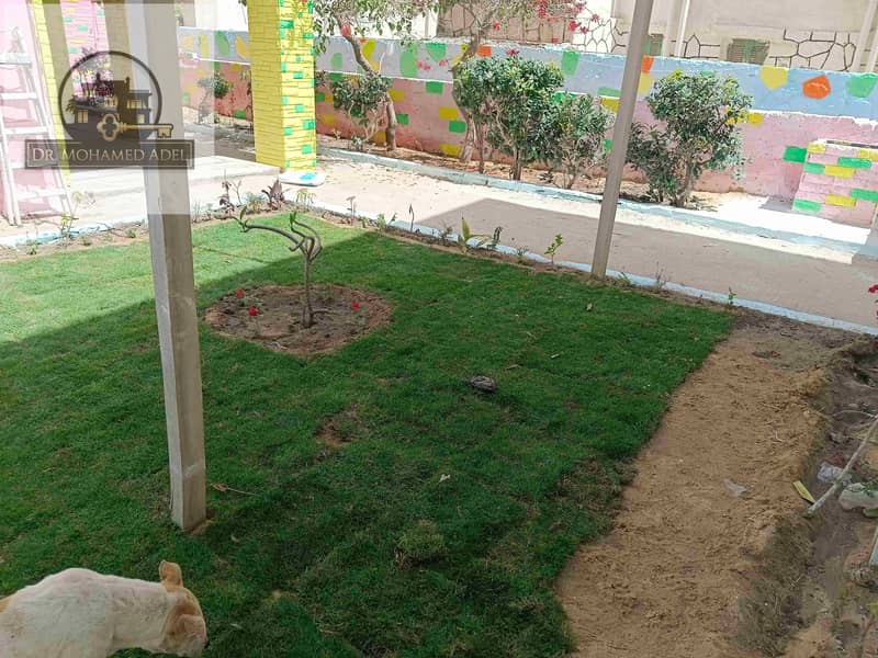 12 IMG_٢٠٢٤٠٥٠٩_١١١٨٢٣_1. jpg