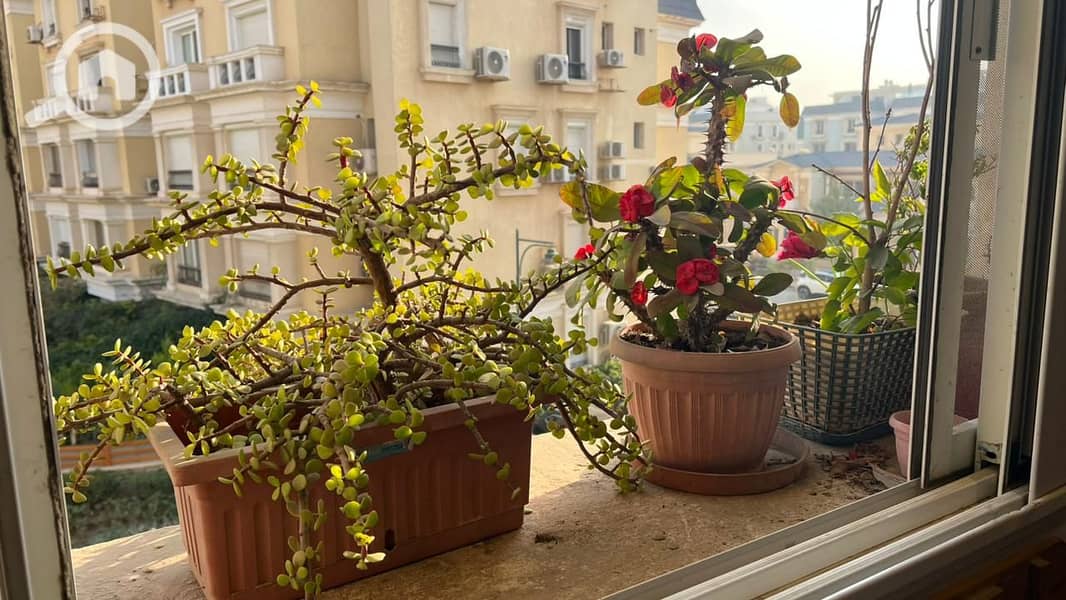 3 WhatsApp Image 2026-01-06 at 4.11. 48 PM (2). jpeg