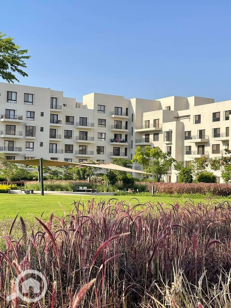 3 WhatsApp Image 2026-01-06 at 4.47. 32 PM (3). jpeg