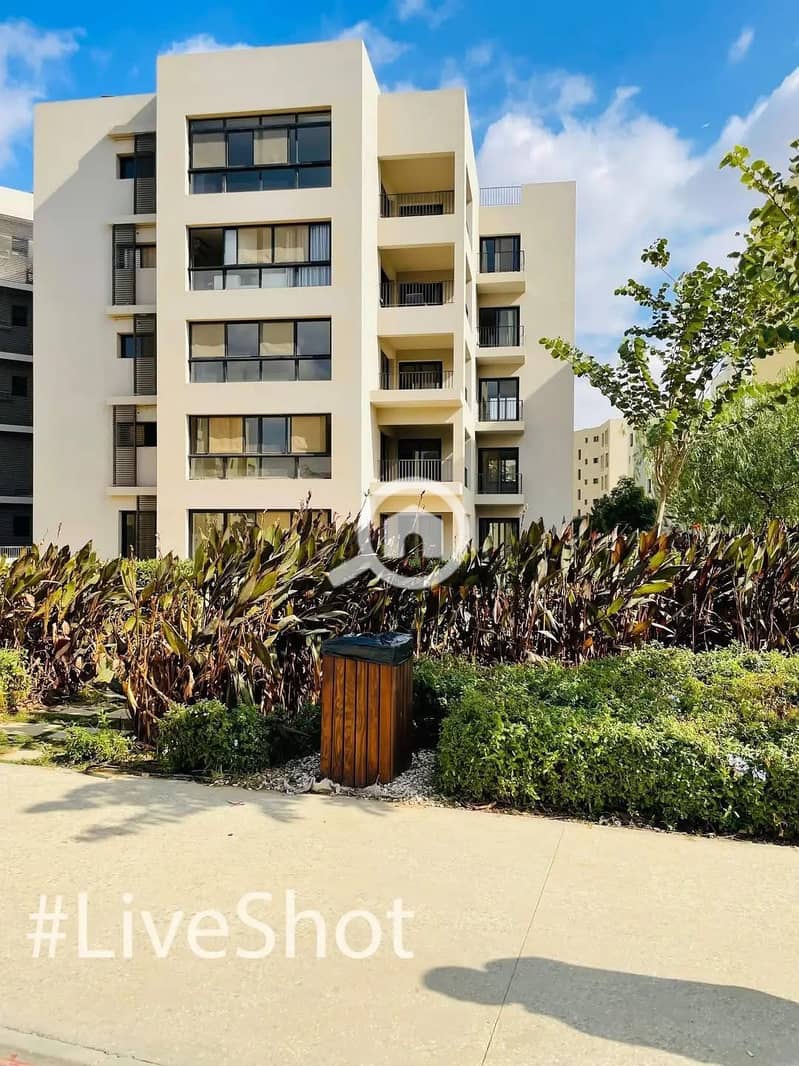 5 WhatsApp Image 2026-01-06 at 4.47. 32 PM (4). jpeg