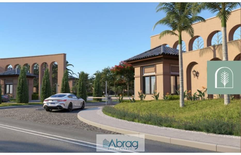 11 الشارع. jpg