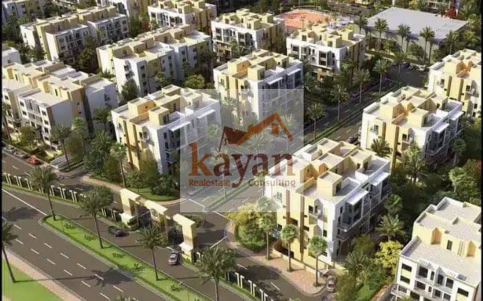 7 06874216-a6bb-47cd-977d-70d682087db3. jpg