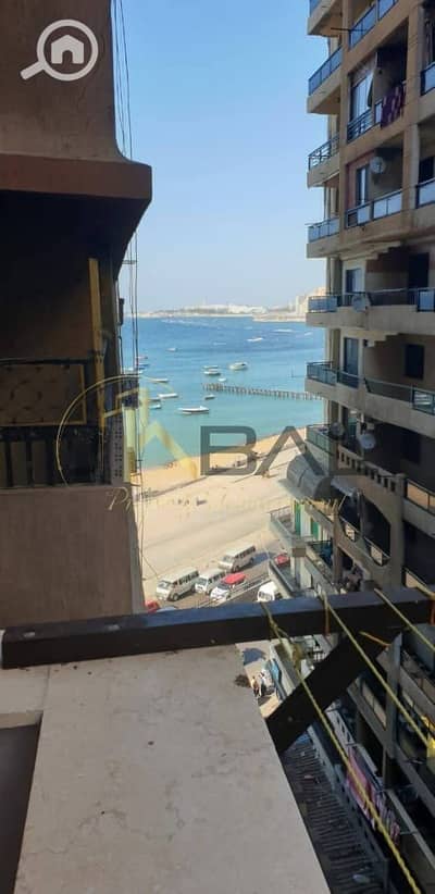 2 Bedroom Flat for Rent in Miami, Alexandria - WhatsApp Image 2026-01-06 at 4.59. 41 PM (4). jpeg