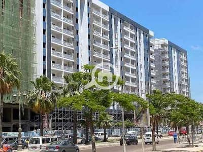 فلیٹ 3 غرف نوم للايجار في سموحة، الإسكندرية - IMG_5236. jpg