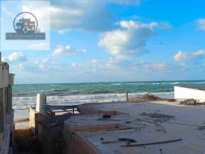 2 Bedroom Apartment for Rent in Agami, Alexandria - IMG_20241125_154433. jpg