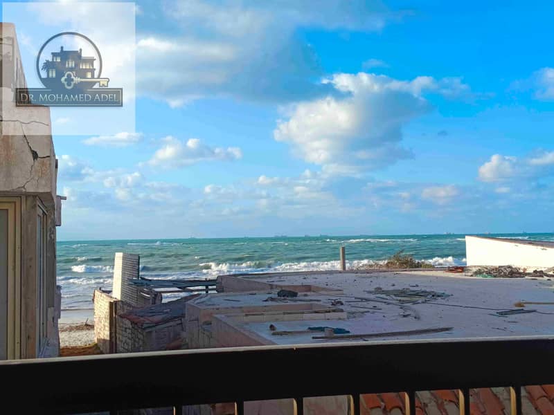 8 IMG_20241125_154426. jpg