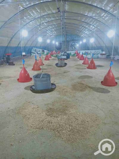 عقارات تجارية اخرى  للايجار في 6 أكتوبر، الجيزة - 1000089399. jpg