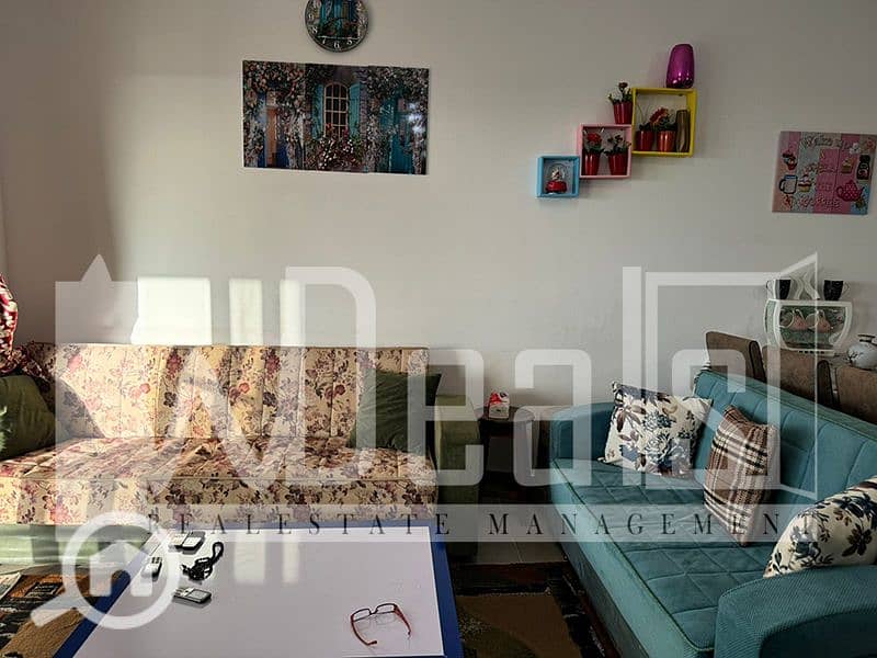 12 WhatsApp Image 2025-12-28 at 19.13. 59 (3). jpeg