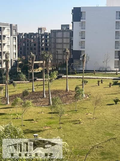 3 Bedroom Flat for Rent in Madinaty, Cairo - WhatsApp Image 2026-01-05 at 11.31. 11 AM (1). jpeg