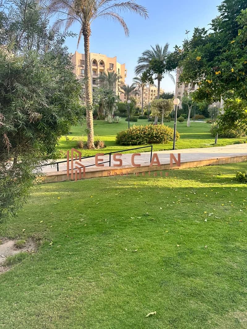 3 WhatsApp Image 2025-06-24 at 13.39. 20_d179c2cd. jpg