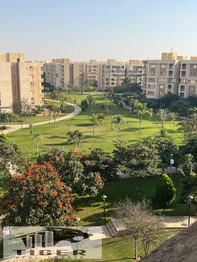 4 Bedroom Flat for Sale in Madinaty, Cairo - WhatsApp Image 2025-12-24 at 11.47. 56 AM (1). jpeg