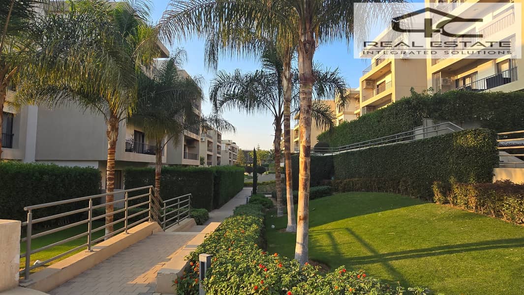 6 20251117_155340. jpg