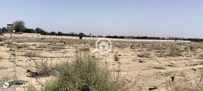 زراعي  للبيع في 6 أكتوبر، الجيزة - WhatsApp Image 2026-01-06 at 17.59. 03. jpeg