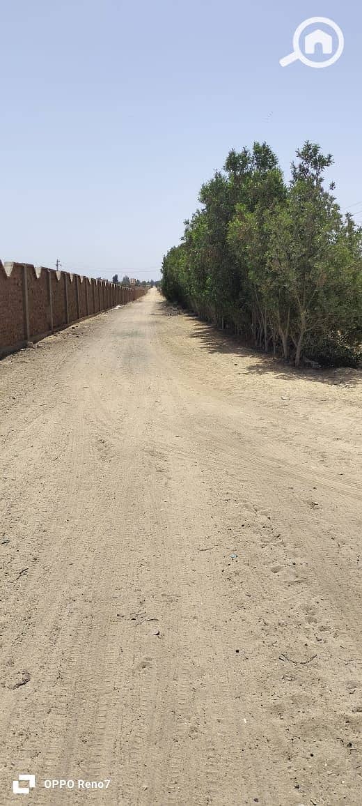 2 WhatsApp Image 2026-01-06 at 17.59. 06. jpeg