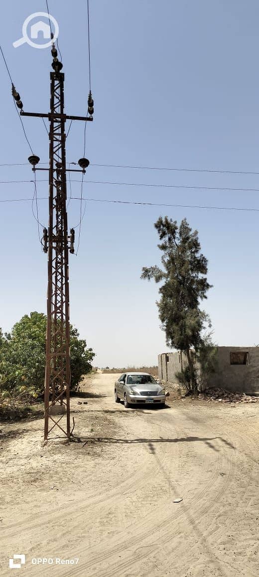 3 WhatsApp Image 2026-01-06 at 17.59. 09. jpeg